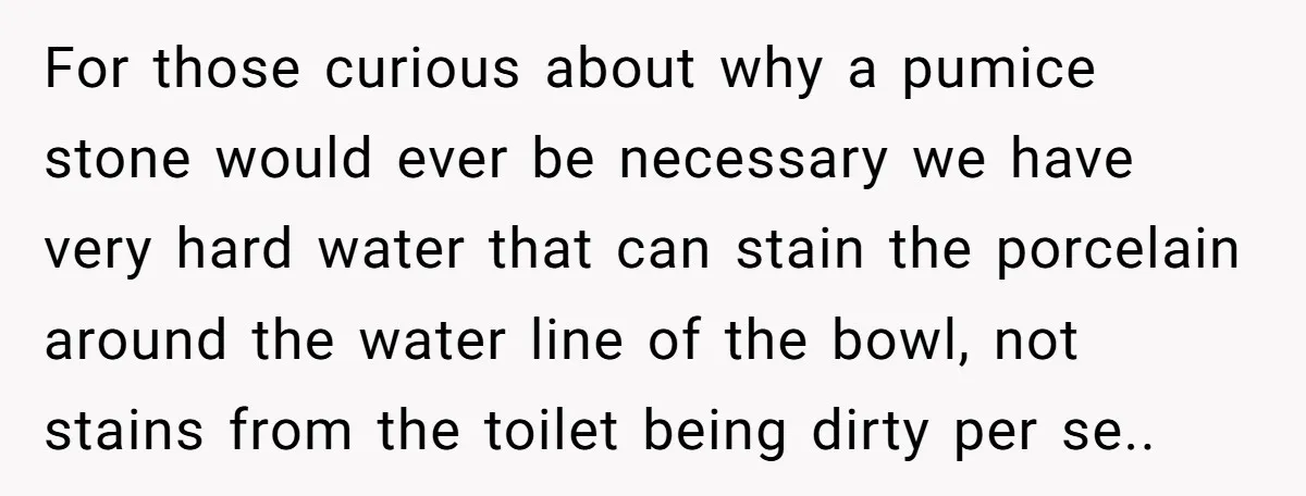For those curious about why a pumice stone would ever be necessary we have very hard water that can stain the porcelain around the water line of the bowl, not...