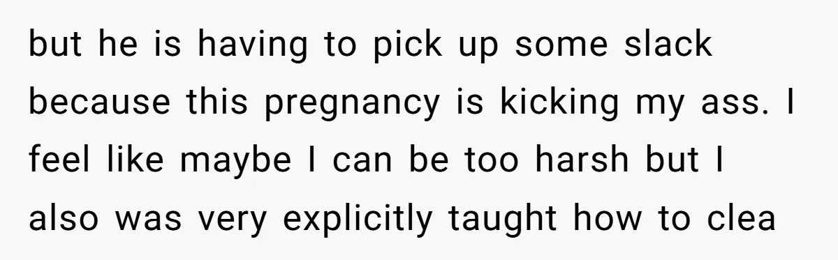 but he is having to pick up some slack because this pregnancy is kicking my ass. I feel like maybe I can be too harsh but I also was very...