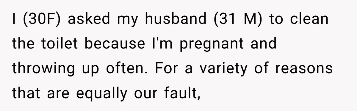 I (30F) asked my husband (31 M) to clean the toilet because I'm pregnant and throwing up often. For a variety of reasons that are equally our fault,