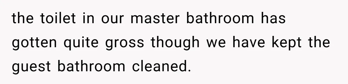 the toilet in our master bathroom has gotten quite gross though we have kept the guest bathroom cleaned.