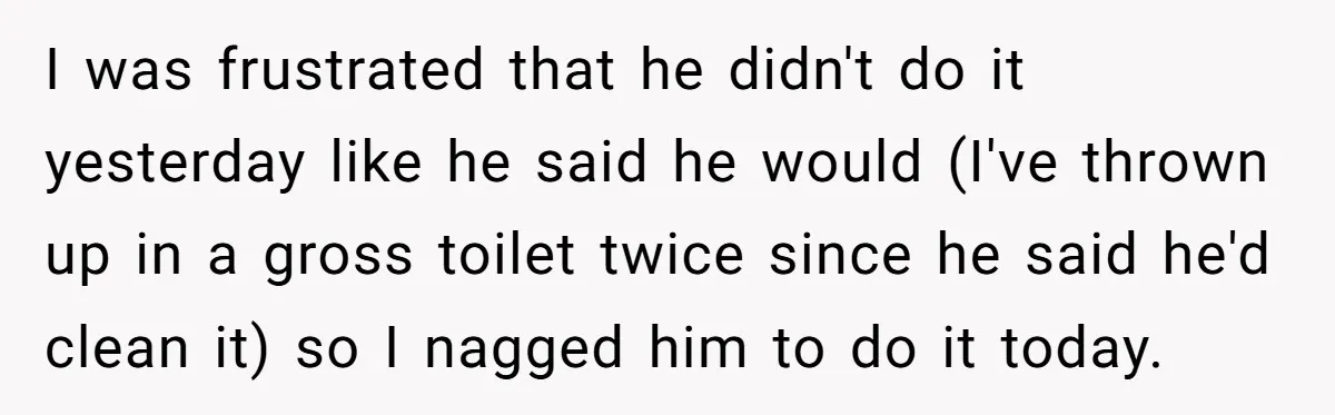 I was frustrated that he didn't do it yesterday like he said he would (I've thrown up in a gross toilet twice since he said he'd clean it) so I...