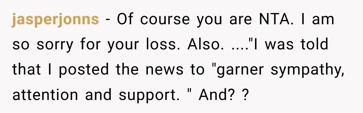 jasperjonns − Of course you are NTA. I am so sorry for your loss. Also. ...."I was told that I posted the news to "garner sympathy, attention and support. "...