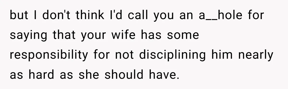 but I don't think I'd call you an a__hole for saying that your wife has some responsibility for not disciplining him nearly as hard as she should have.