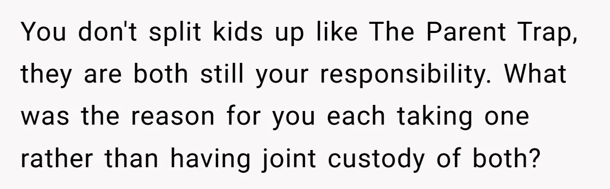 You don't split kids up like The Parent Trap, they are both still your responsibility. What was the reason for you each taking one rather than having joint custody of...
