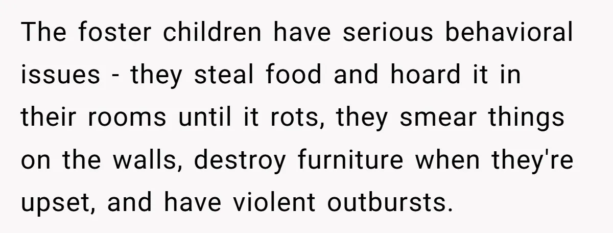The foster children have serious behavioral issues - they steal food and hoard it in their rooms until it rots, they smear things on the walls, destroy furniture when they're...