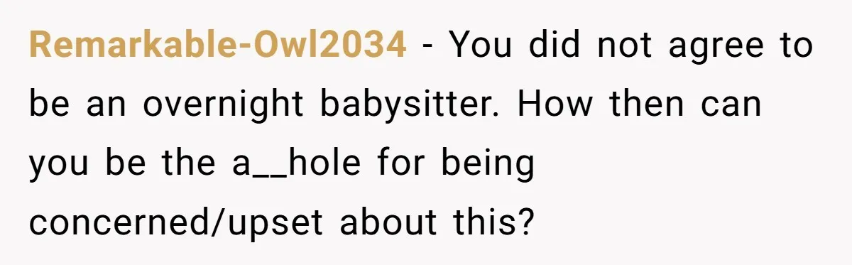Remarkable-Owl2034 − You did not agree to be an overnight babysitter. How then can you be the a__hole for being concerned/upset about this?