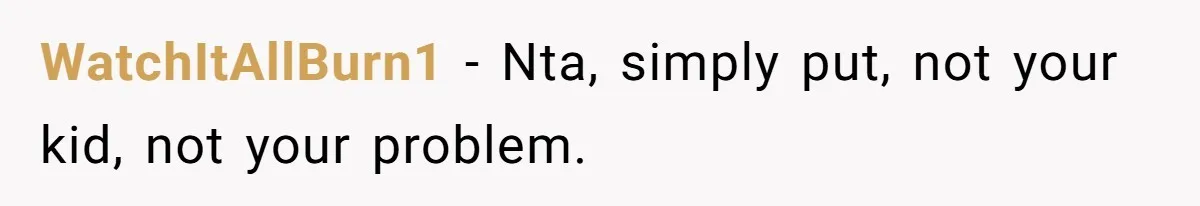 WatchItAllBurn1 − Nta, simply put, not your kid, not your problem.