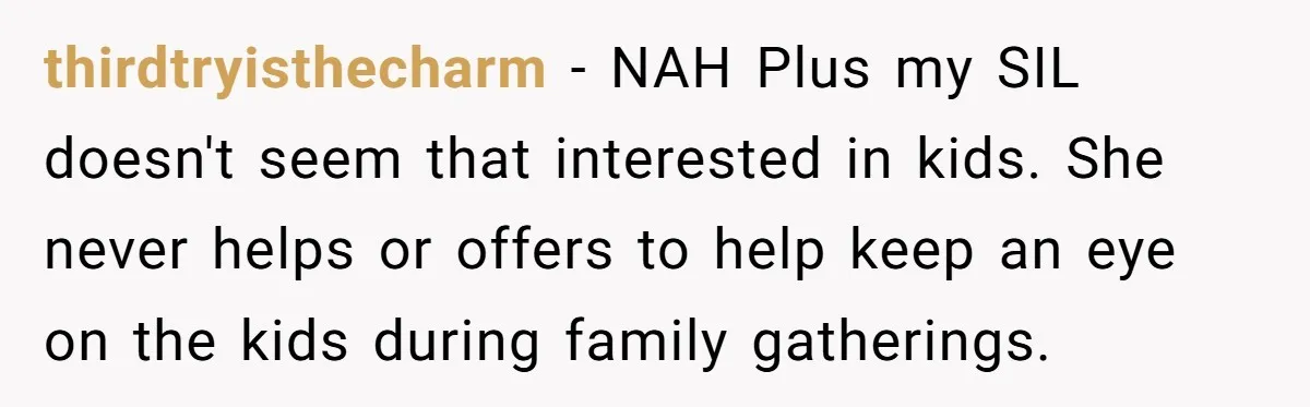 thirdtryisthecharm − NAH Plus my SIL doesn't seem that interested in kids. She never helps or offers to help keep an eye on the kids during family gatherings.