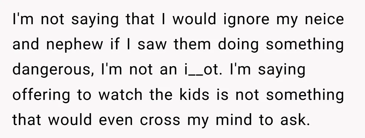 I'm not saying that I would ignore my neice and nephew if I saw them doing something dangerous, I'm not an i__ot. I'm saying offering to watch the kids is...