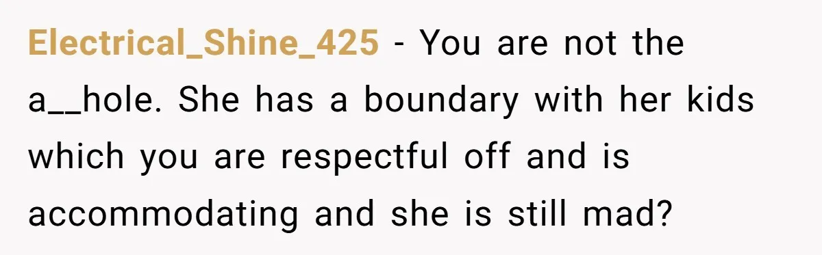 Electrical_Shine_425 − You are not the a__hole. She has a boundary with her kids which you are respectful off and is accommodating and she is still mad?
