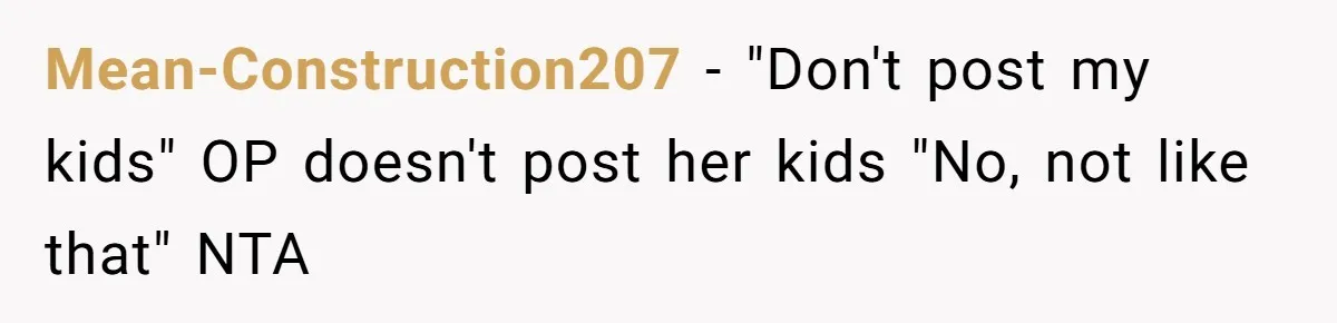 Mean-Construction207 − "Don't post my kids" OP doesn't post her kids "No, not like that" NTA