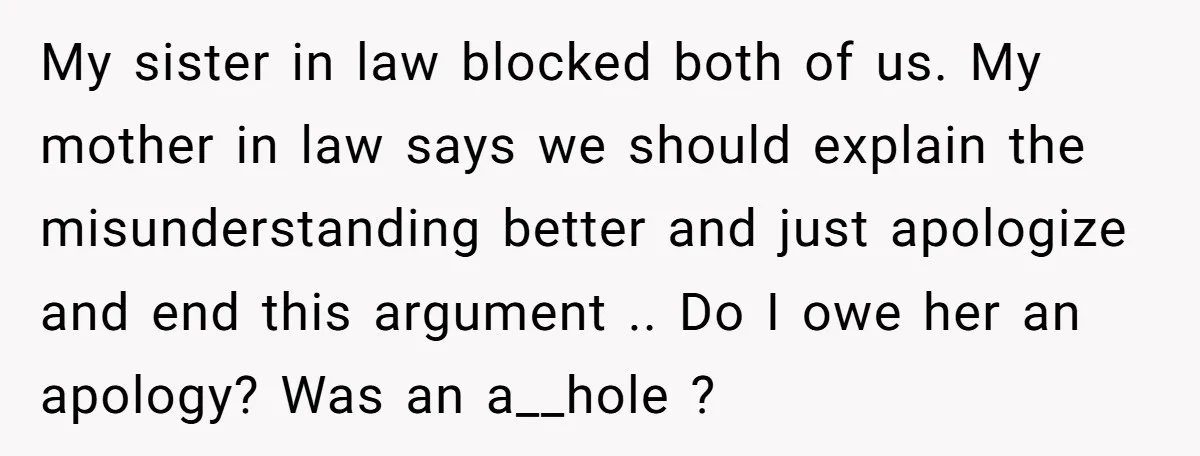 My sister in law blocked both of us. My mother in law says we should explain the misunderstanding better and just apologize and end this argument .. Do I owe...