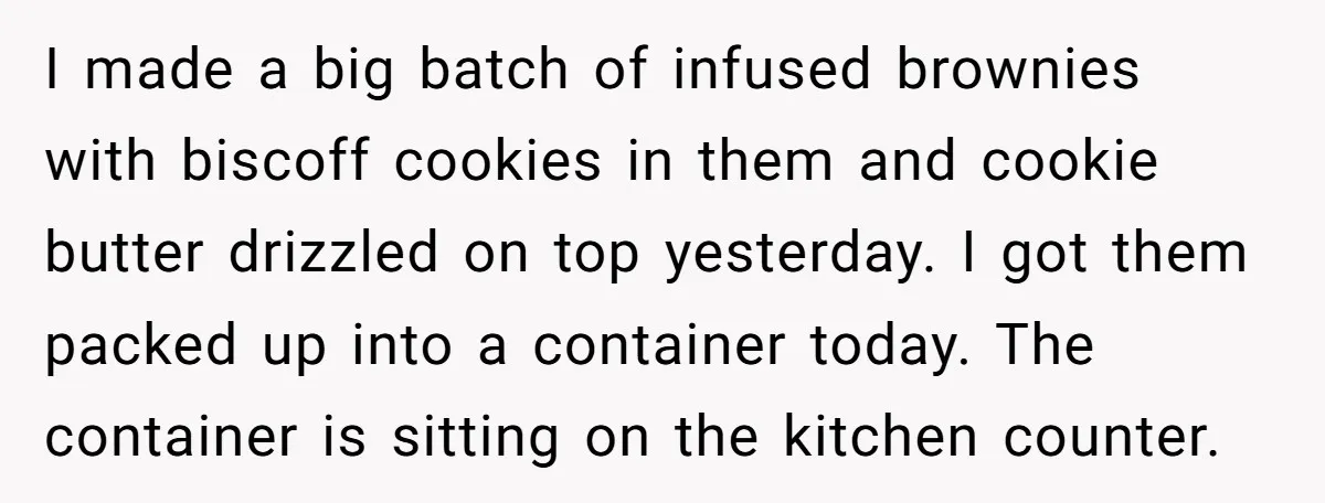 I made a big batch of infused brownies with biscoff cookies in them and cookie butter drizzled on top yesterday. I got them packed up into a container today. The...