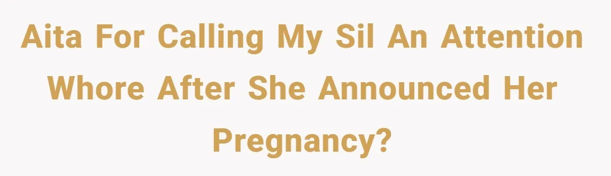 AITA for calling my SIL an attention whore after she announced her pregnancy?