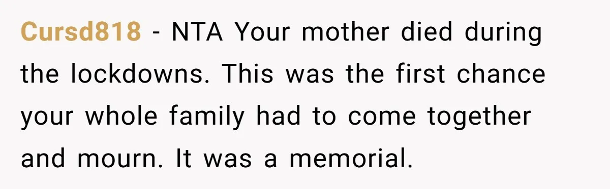Cursd818 − NTA Your mother died during the lockdowns. This was the first chance your whole family had to come together and mourn. It was a memorial.