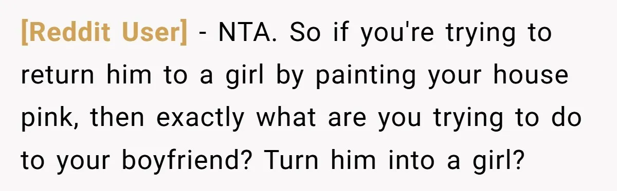 [Reddit User] − NTA. So if you're trying to return him to a girl by painting your house pink, then exactly what are you trying to do to your boyfriend?...
