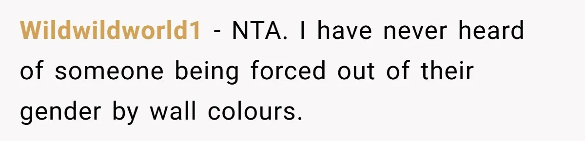 Wildwildworld1 − NTA. I have never heard of someone being forced out of their gender by wall colours.