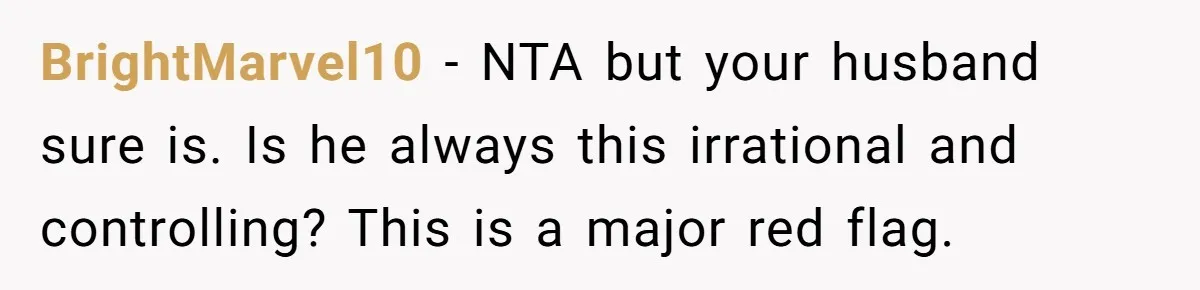 BrightMarvel10 − NTA but your husband sure is. Is he always this irrational and controlling? This is a major red flag.