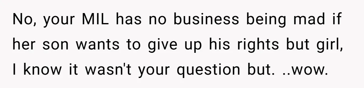 No, your MIL has no business being mad if her son wants to give up his rights but girl, I know it wasn't your question but. ..wow.