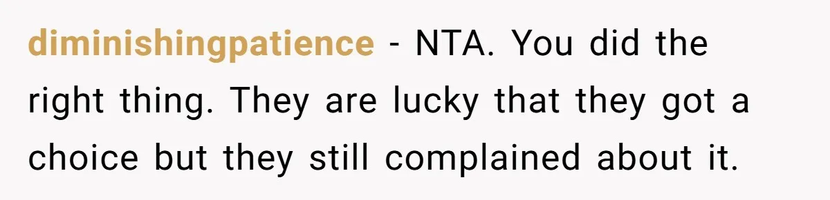 diminishingpatience − NTA. You did the right thing. They are lucky that they got a choice but they still complained about it.