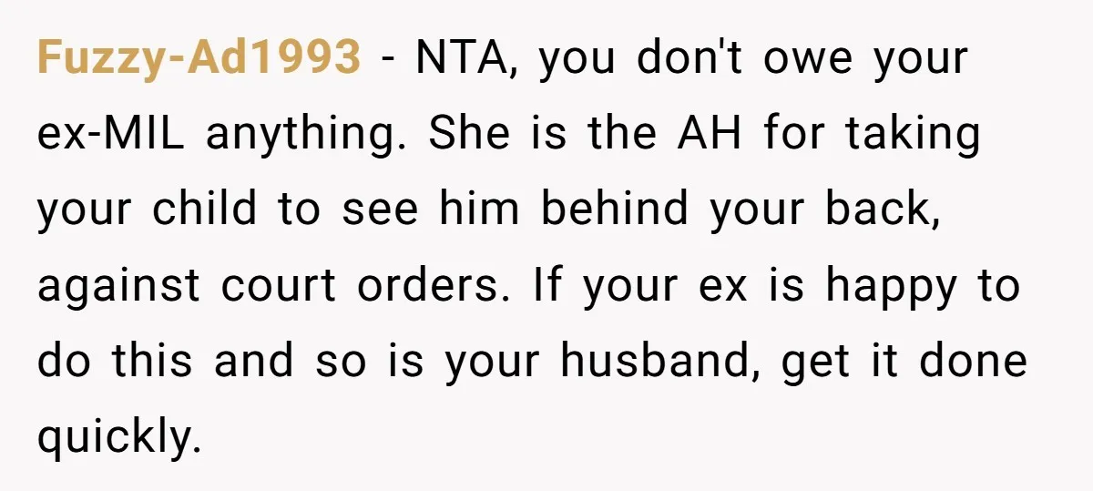 Fuzzy-Ad1993 − NTA, you don't owe your ex-MIL anything. She is the AH for taking your child to see him behind your back, against court orders. If your ex is...
