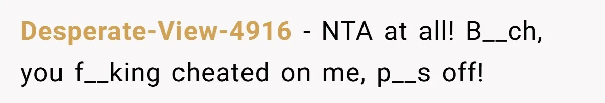 Desperate-View-4916 − NTA at all! B__ch, you f__king cheated on me, p__s off!