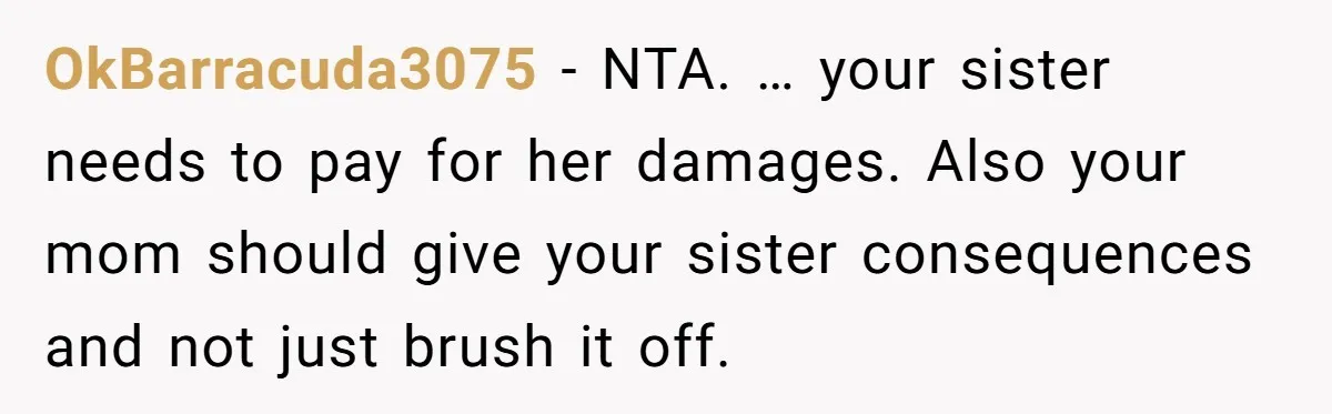 OkBarracuda3075 − NTA. … your sister needs to pay for her damages. Also your mom should give your sister consequences and not just brush it off.