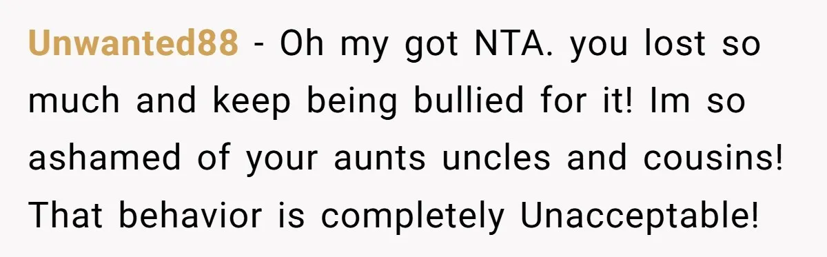 Unwanted88 − Oh my got NTA. you lost so much and keep being bullied for it! Im so ashamed of your aunts uncles and cousins! That behavior is completely Unacceptable!