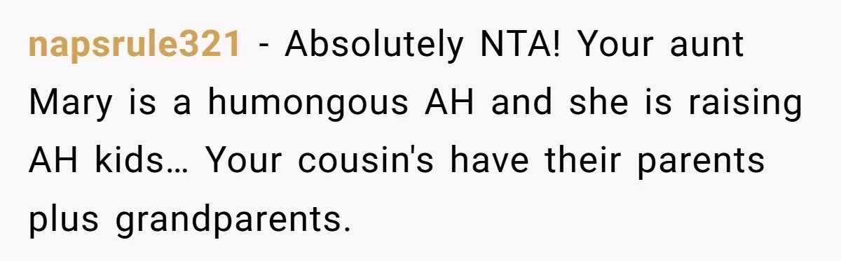 napsrule321 − Absolutely NTA! Your aunt Mary is a humongous AH and she is raising AH kids… Your cousin's have their parents plus grandparents.