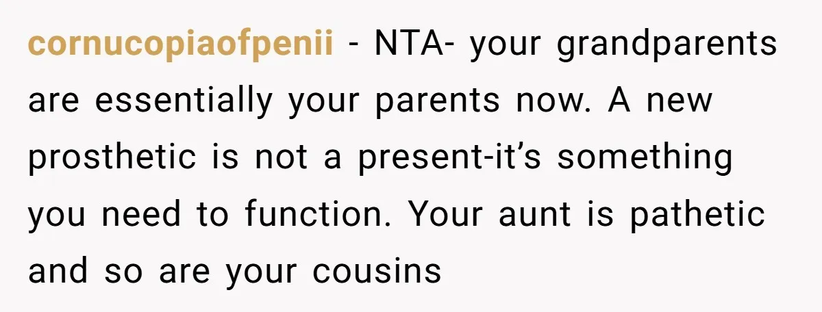 cornucopiaofpenii − NTA- your grandparents are essentially your parents now. A new prosthetic is not a present-it’s something you need to function. Your aunt is pathetic and so are your...