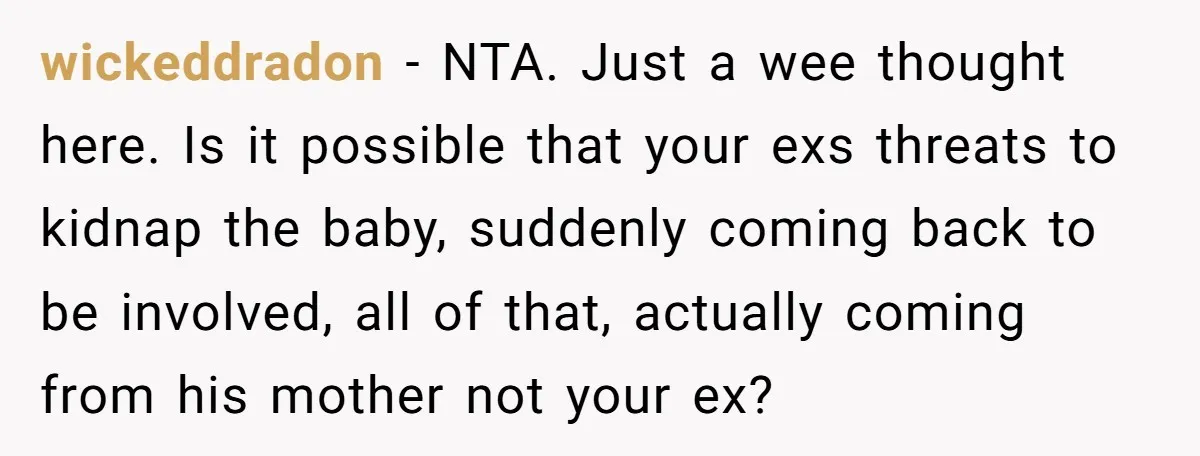 wickeddradon − NTA. Just a wee thought here. Is it possible that your exs threats to kidnap the baby, suddenly coming back to be involved, all of that, actually coming...