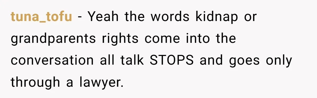 tuna_tofu − Yeah the words kidnap or grandparents rights come into the conversation all talk STOPS and goes only through a lawyer.