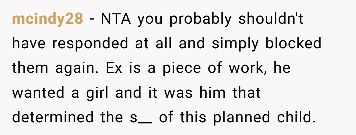 mcindy28 − NTA you probably shouldn't have responded at all and simply blocked them again. Ex is a piece of work, he wanted a girl and it was him that...