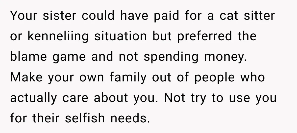 Your sister could have paid for a cat sitter or kenneliing situation but preferred the blame game and not spending money. Make your own family out of people who actually...