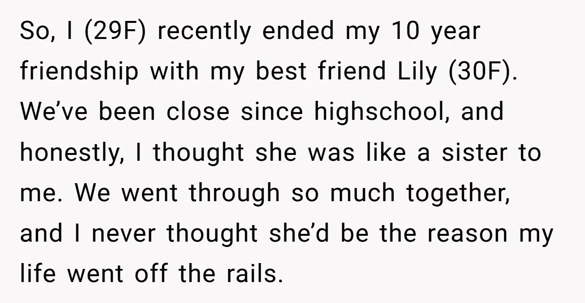 So, I (29F) recently ended my 10 year friendship with my best friend Lily (30F). We’ve been close since highschool, and honestly, I thought she was like a sister to...
