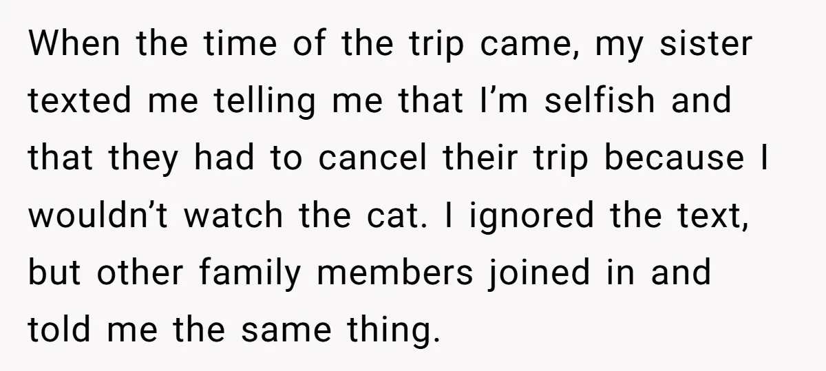 When the time of the trip came, my sister texted me telling me that I’m selfish and that they had to cancel their trip because I wouldn’t watch the cat....