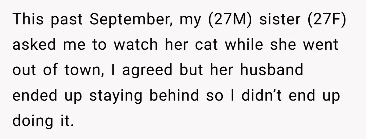 This past September, my (27M) sister (27F) asked me to watch her cat while she went out of town, I agreed but her husband ended up staying behind so I...