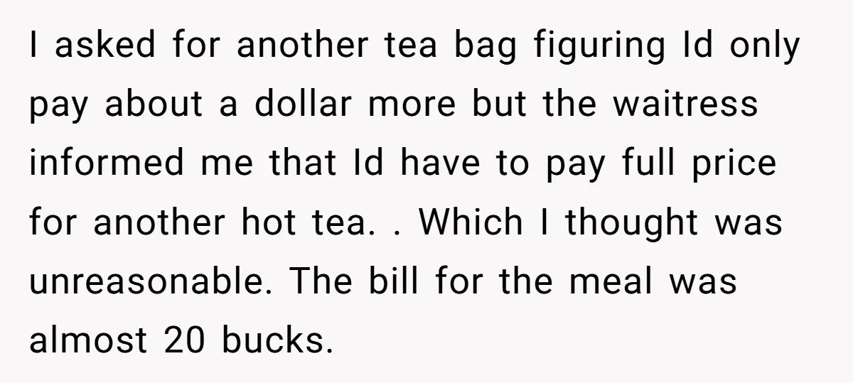 I asked for another tea bag figuring Id only pay about a dollar more but the waitress informed me that Id have to pay full price for another hot tea....