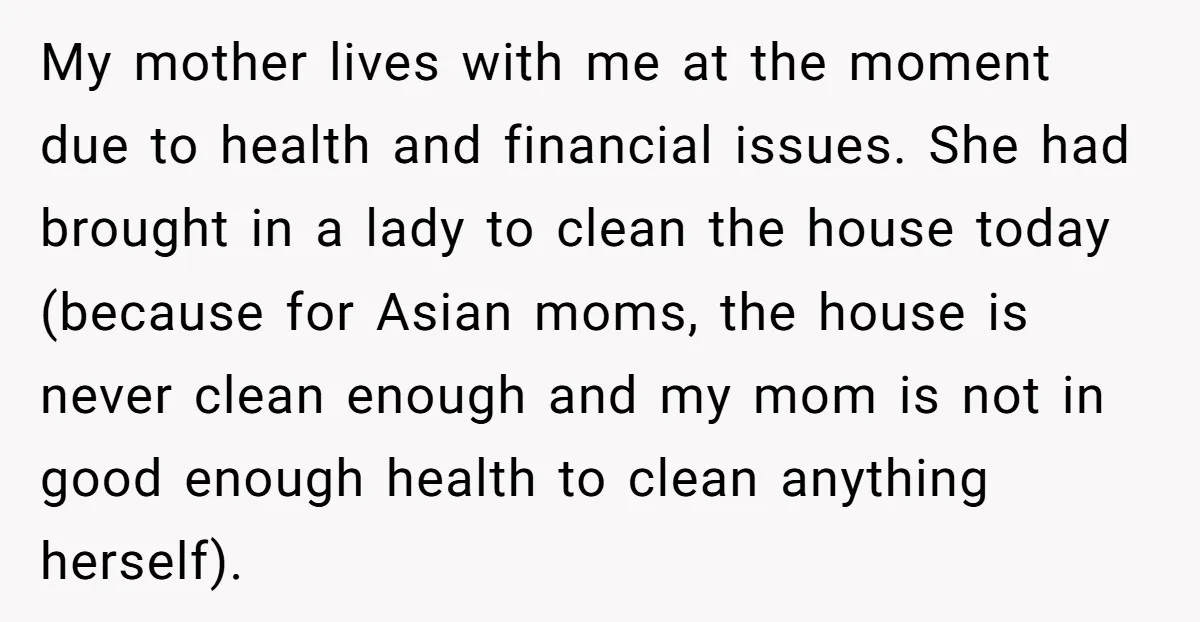 My mother lives with me at the moment due to health and financial issues. She had brought in a lady to clean the house today (because for Asian moms, the...