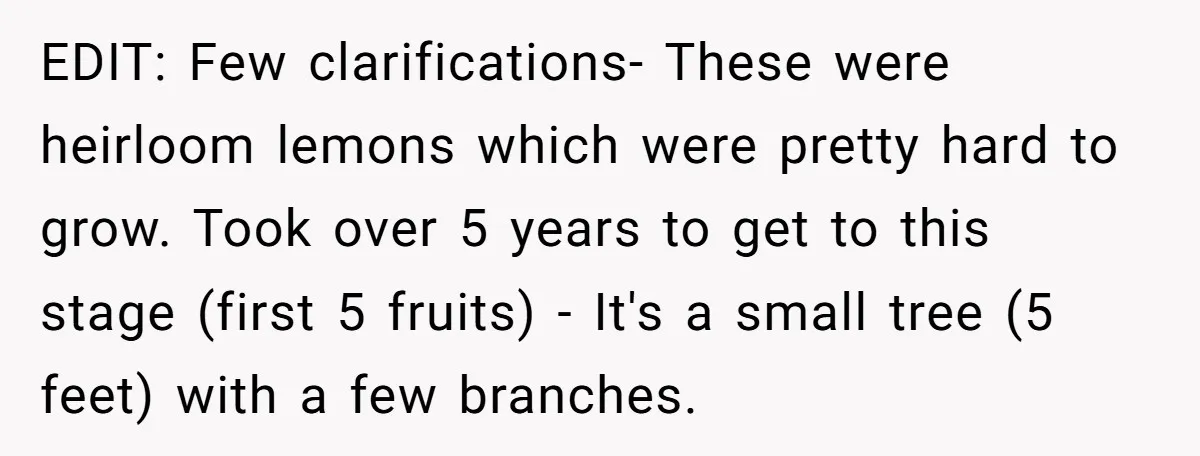EDIT: Few clarifications- These were heirloom lemons which were pretty hard to grow. Took over 5 years to get to this stage (first 5 fruits) - It's a small tree...