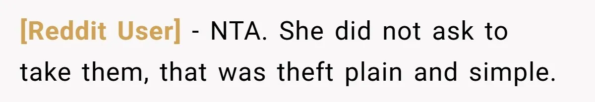 [Reddit User] − NTA. She did not ask to take them, that was theft plain and simple.