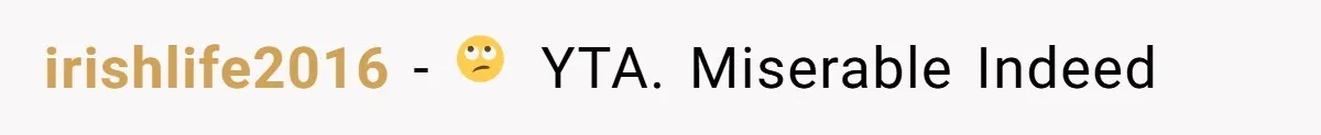 irishlife2016 − 🙄 YTA. Miserable Indeed