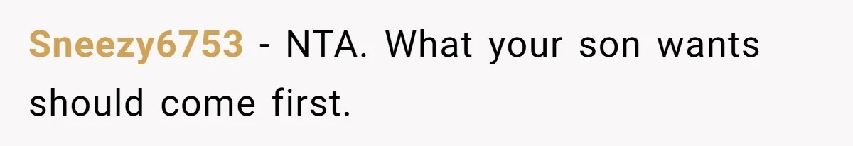 Sneezy6753 − NTA. What your son wants should come first.