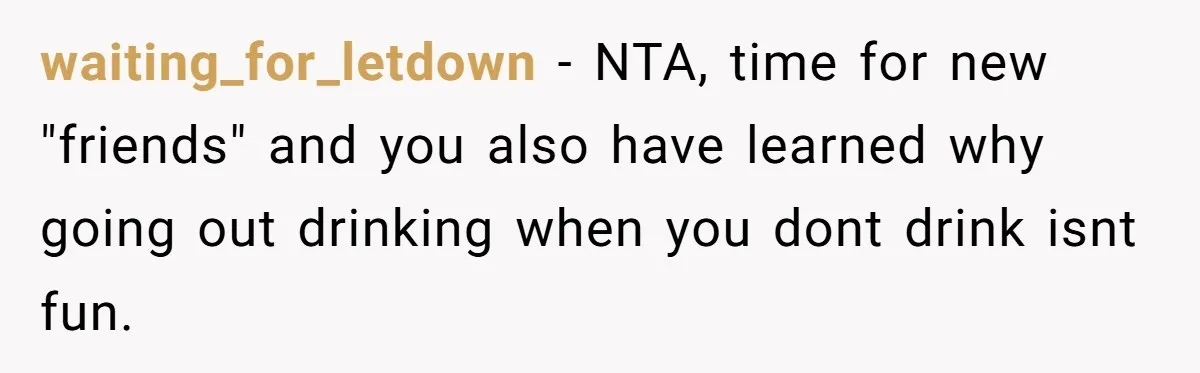 waiting_for_letdown − NTA, time for new "friends" and you also have learned why going out drinking when you dont drink isnt fun.