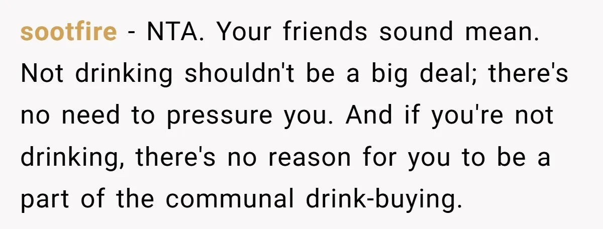 sootfire − NTA. Your friends sound mean. Not drinking shouldn't be a big deal; there's no need to pressure you. And if you're not drinking, there's no reason for you...