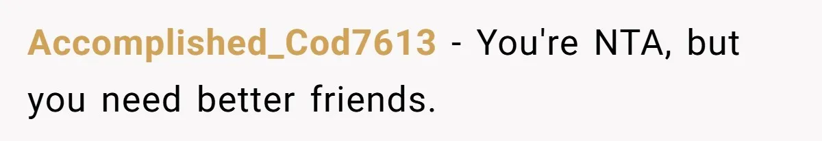 Accomplished_Cod7613 − You're NTA, but you need better friends.