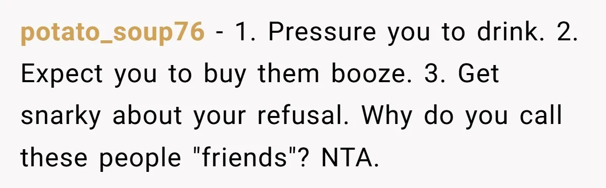 potato_soup76 − 1. Pressure you to drink. 2. Expect you to buy them booze. 3. Get snarky about your refusal. Why do you call these people "friends"? NTA.