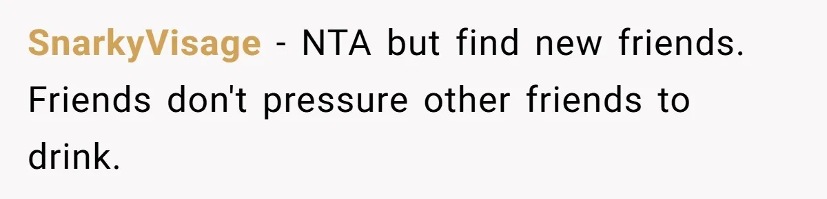 SnarkyVisage − NTA but find new friends. Friends don't pressure other friends to drink.