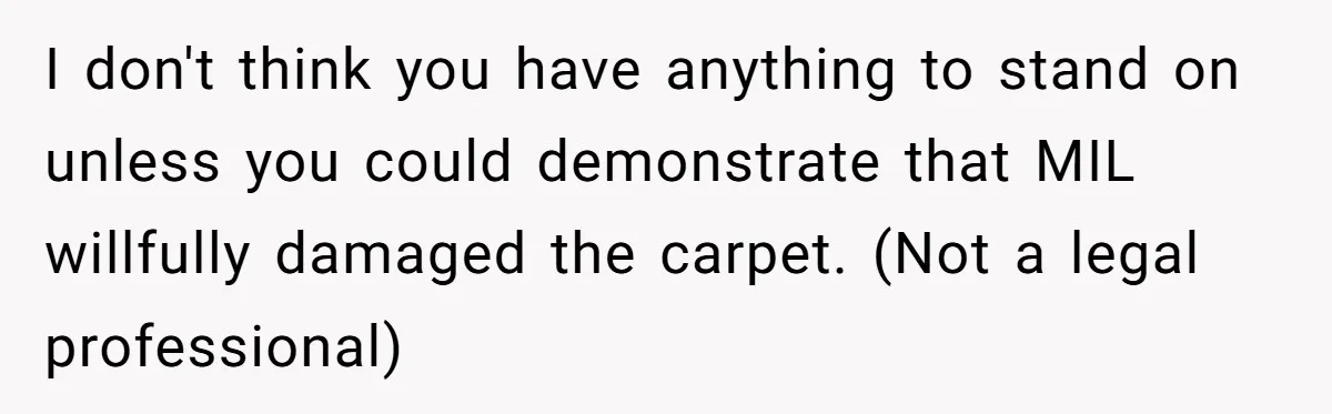 I don't think you have anything to stand on unless you could demonstrate that MIL willfully damaged the carpet. (Not a legal professional)