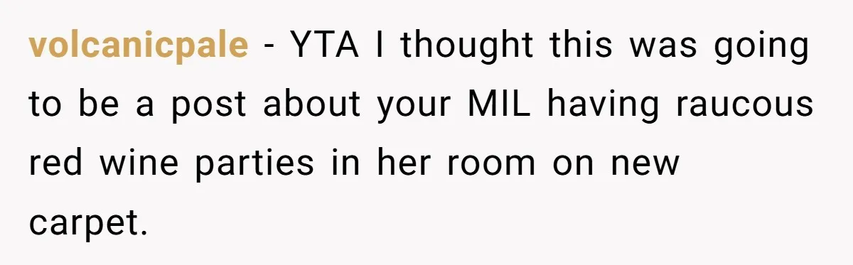 volcanicpale − YTA I thought this was going to be a post about your MIL having raucous red wine parties in her room on new carpet.